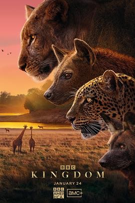 【英国纪录片】动物王国(2025) 非洲动物生存传奇|年度生态巨制