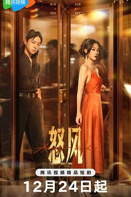 【横屏短剧】怒风(2025)重生后追求美艳黑帮大嫂的故事