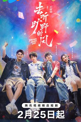 去听旷野的风 (2026)中国大陆音乐文旅|张嘉元李泽宇|摇滚与民族音乐融合、临沧风光、非遗文化、治愈追梦